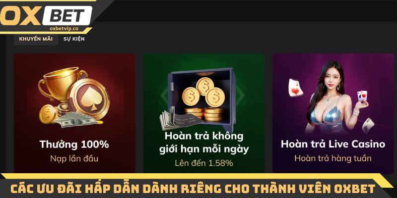 Các ưu đãi hấp dẫn dành riêng cho thành viên Oxbet