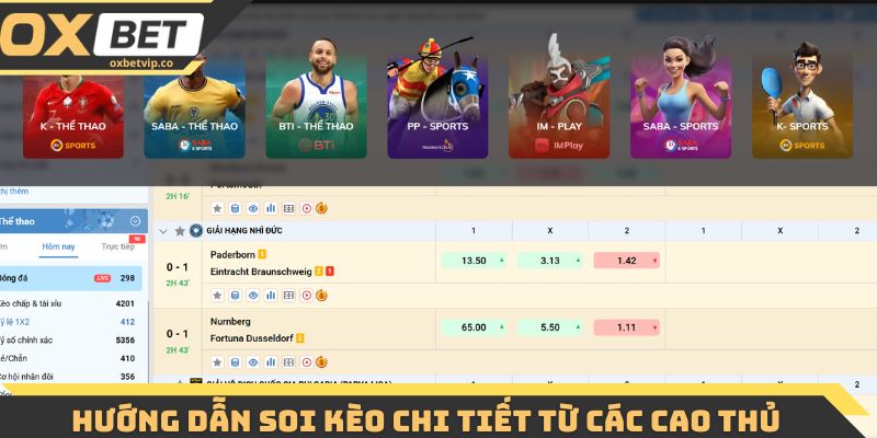 Hướng dẫn soi kèo chi tiết từ các cao thủ